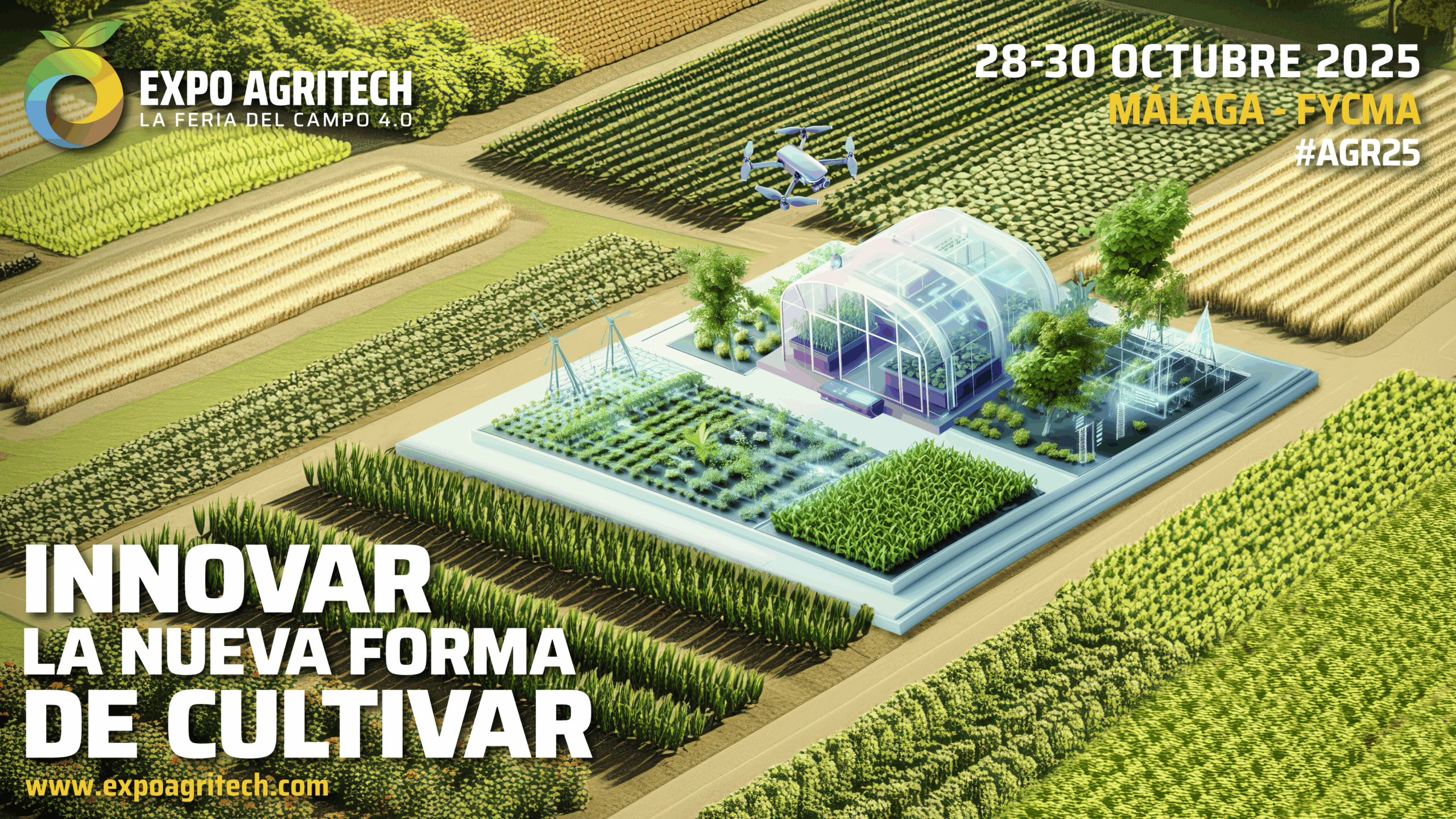 visual-version-final-2025